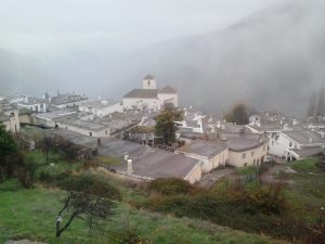 Buscar hombres solteros en Marchena (Granada)